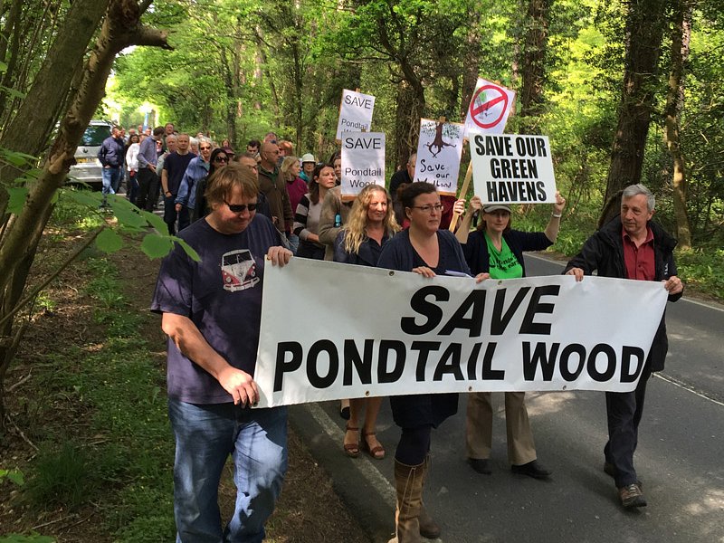 Pondtail Wood - centuries of woodland history destroyed in a few weeks